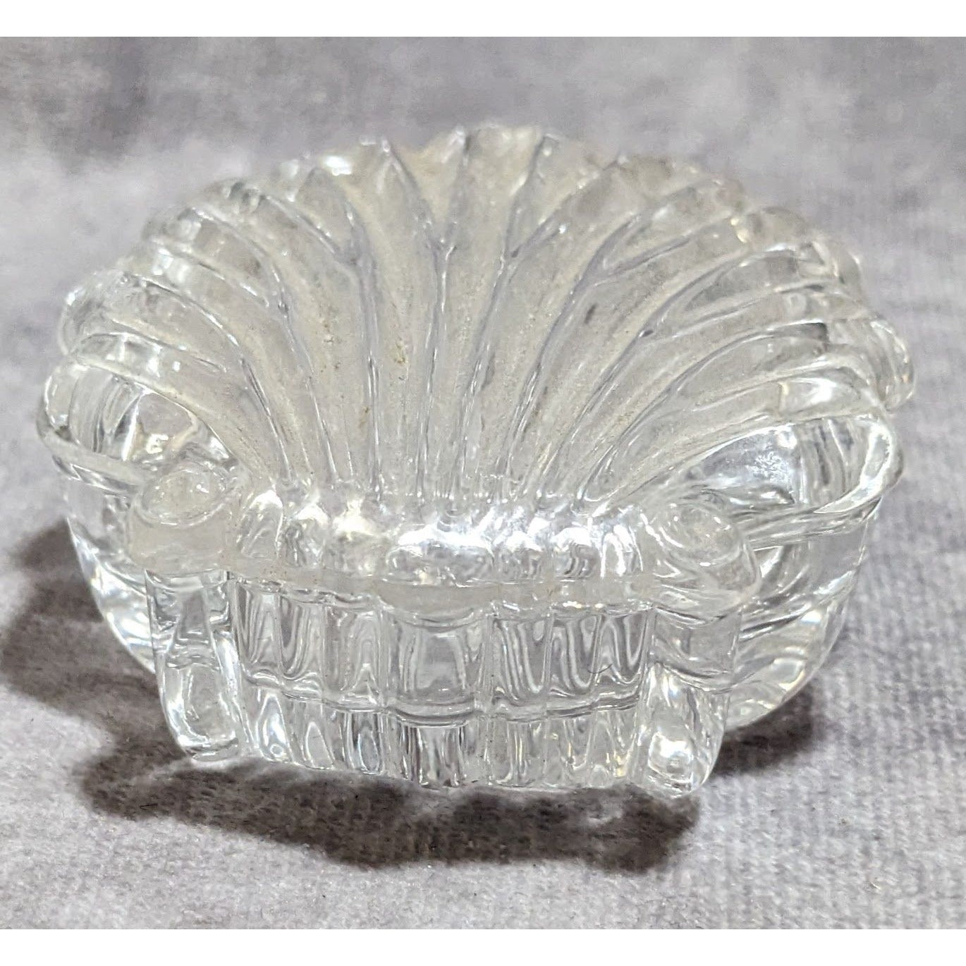 Glass Lidded Seashell Trinket Dish
