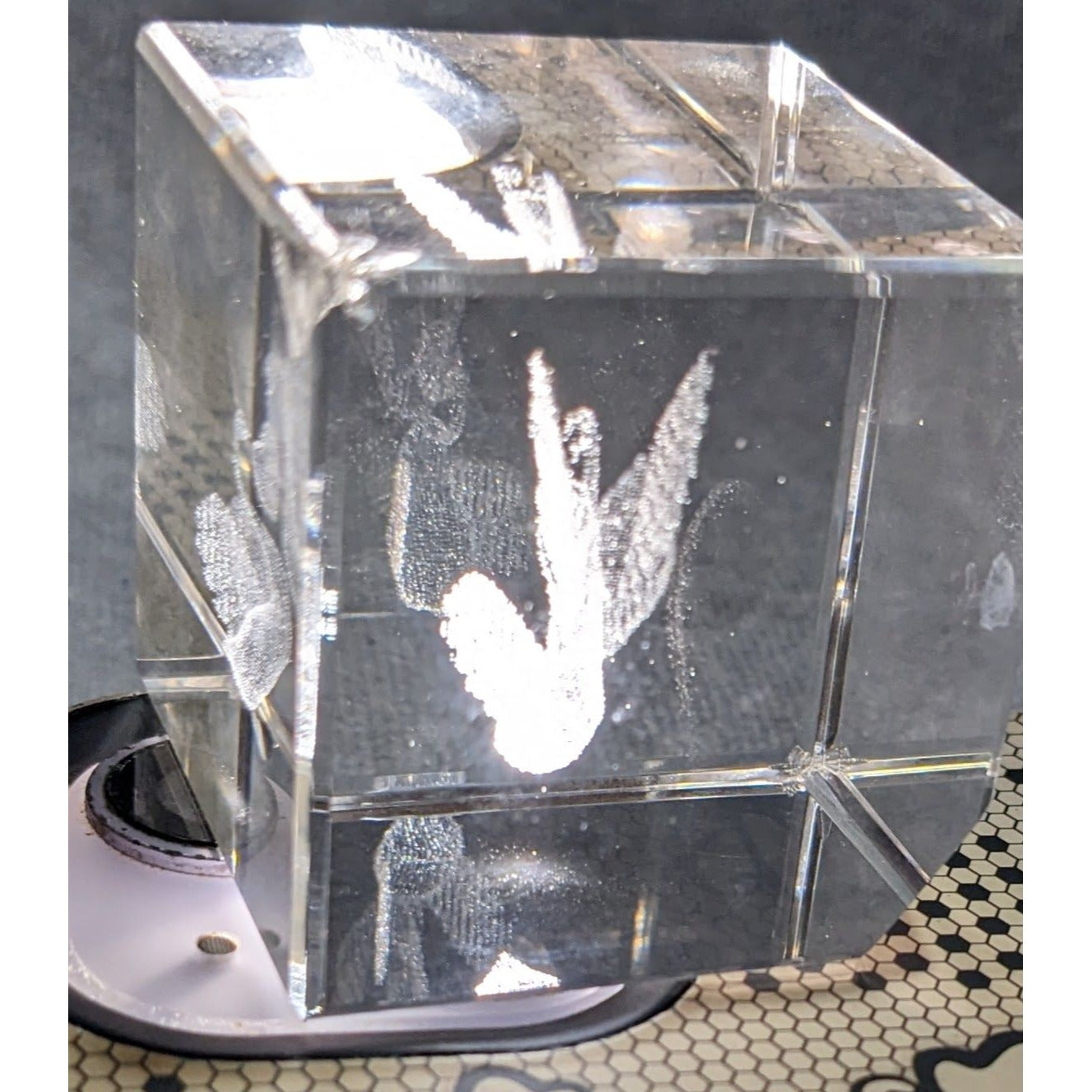 3D Etched Swan Heart Laser Cube
