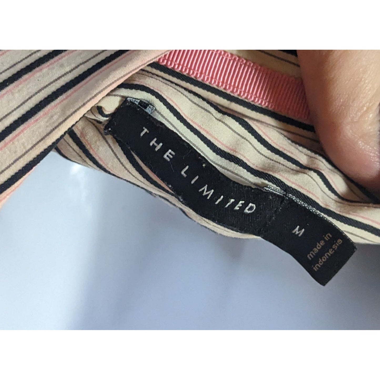 The Limited Striped Blouse