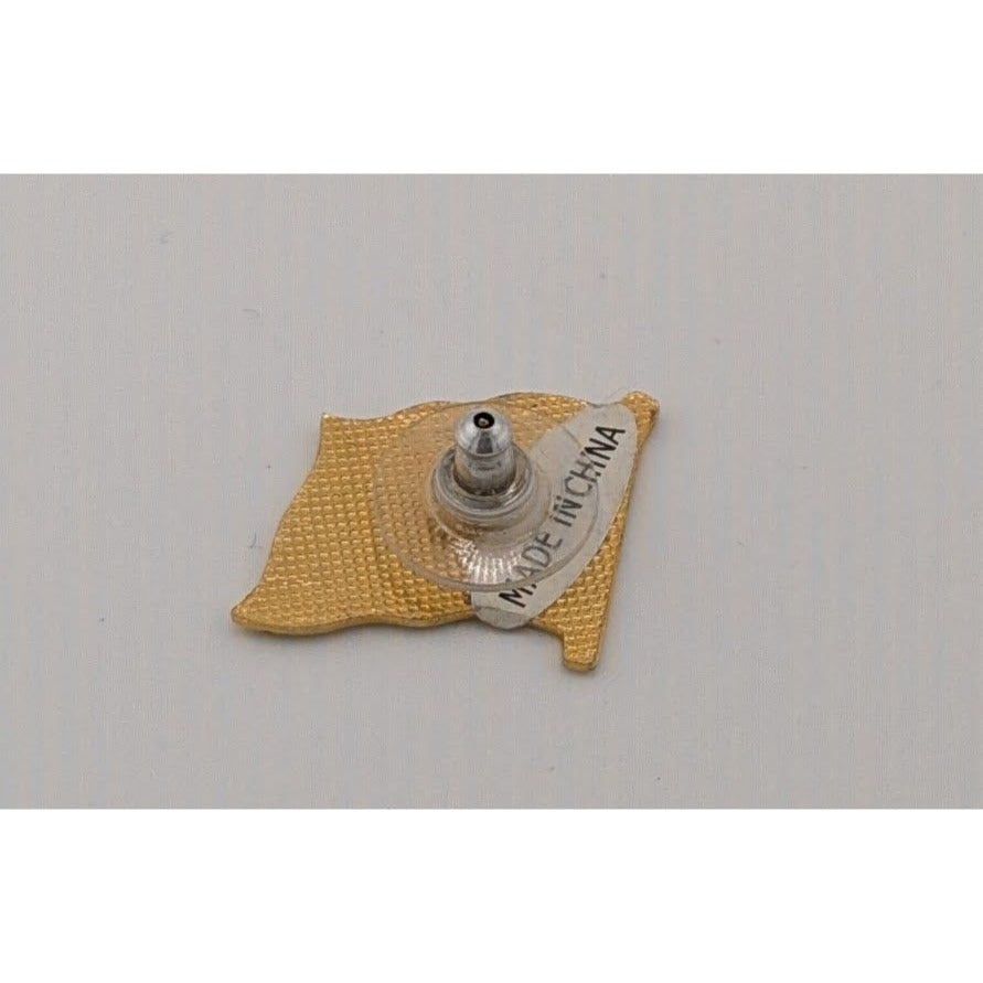 Vintage Argentina Flag Collectible Souvenir Lapel Pin