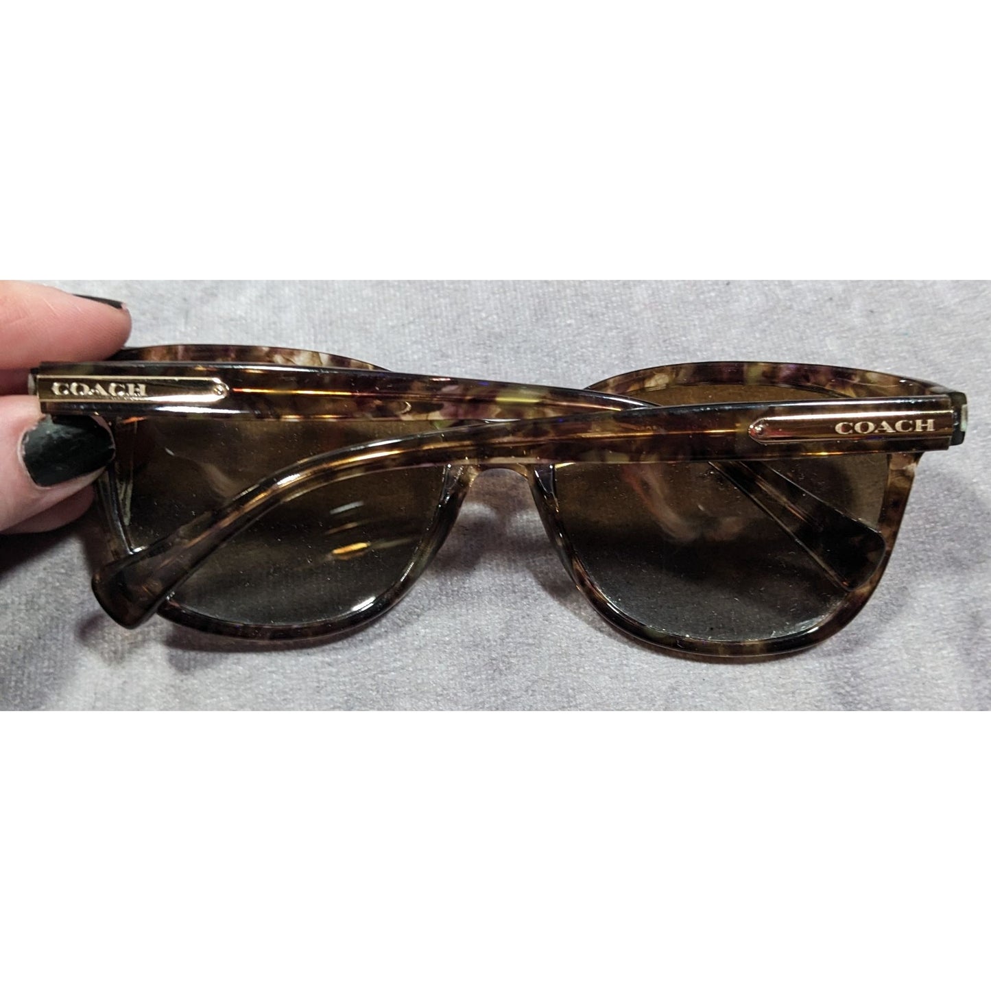 Coach Confetti Light Brown HC8132 Polarized Sunglasses With Case