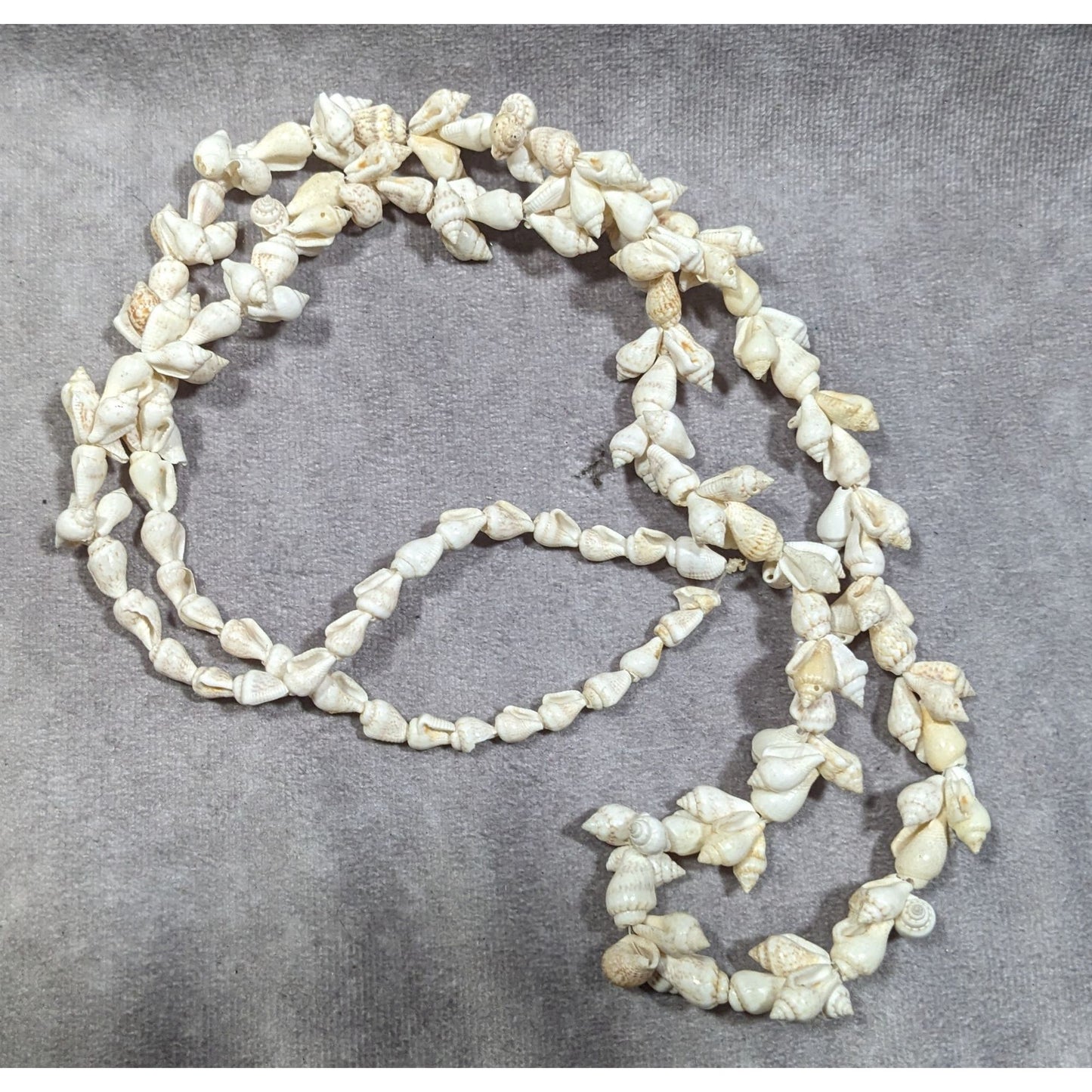 Mermaidcore Summer Beachy Cream Seashell Necklace