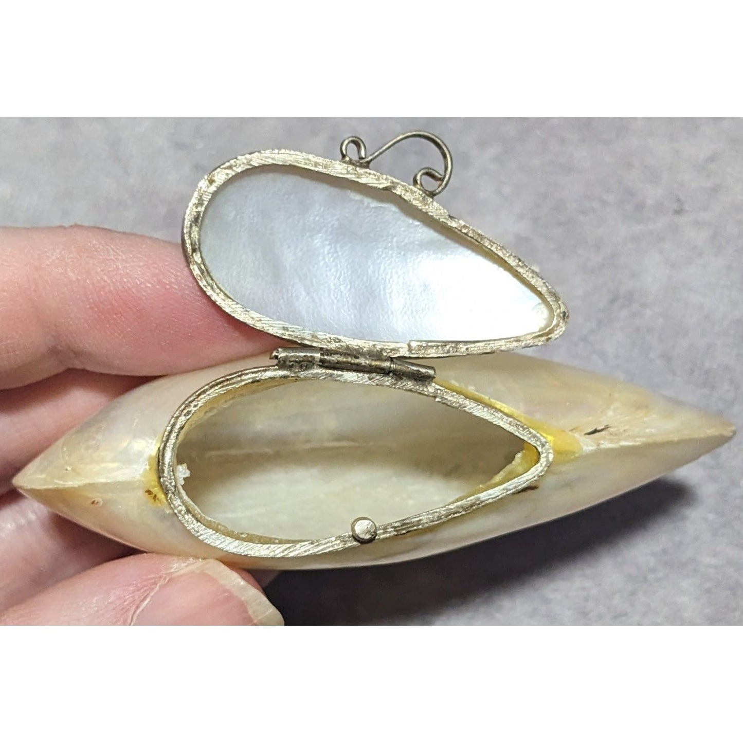 Vintage Shell Snuff Box