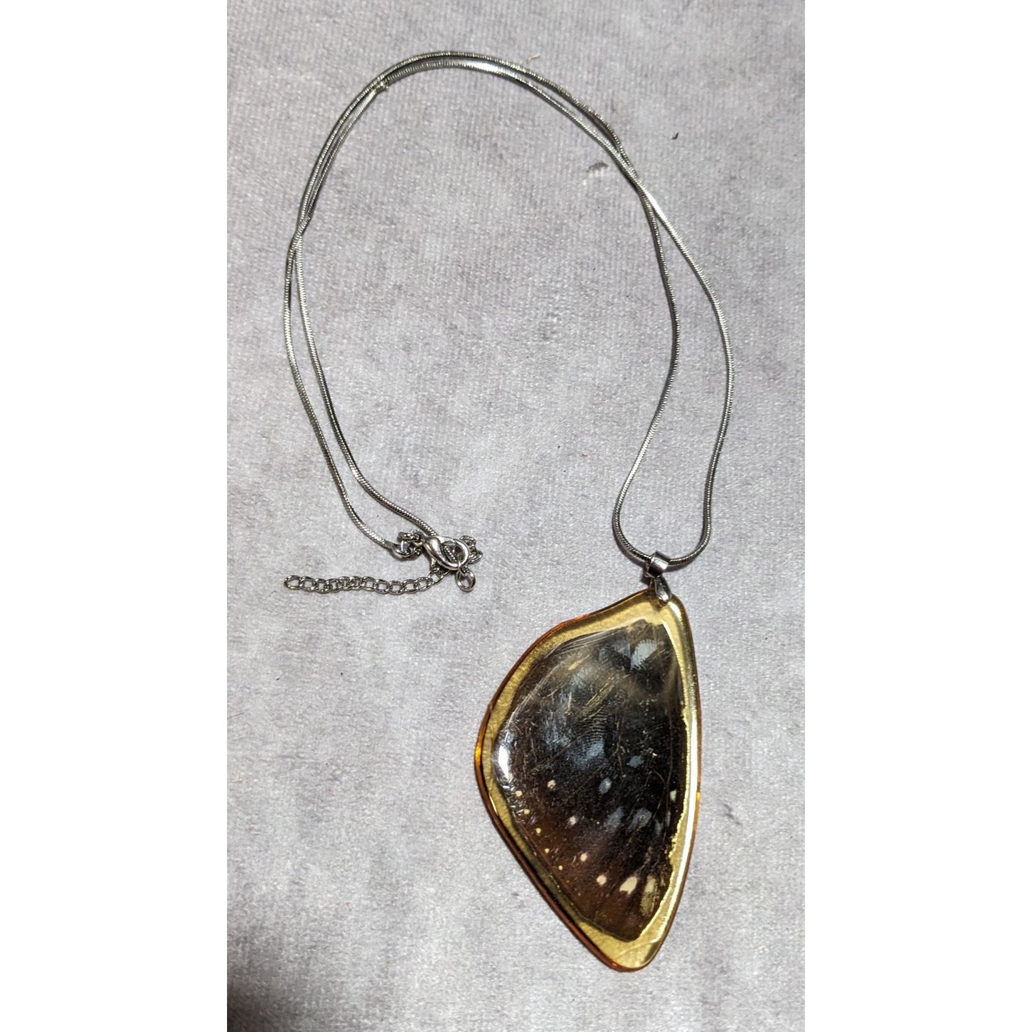 Preserved Butterfly Wing Necklace