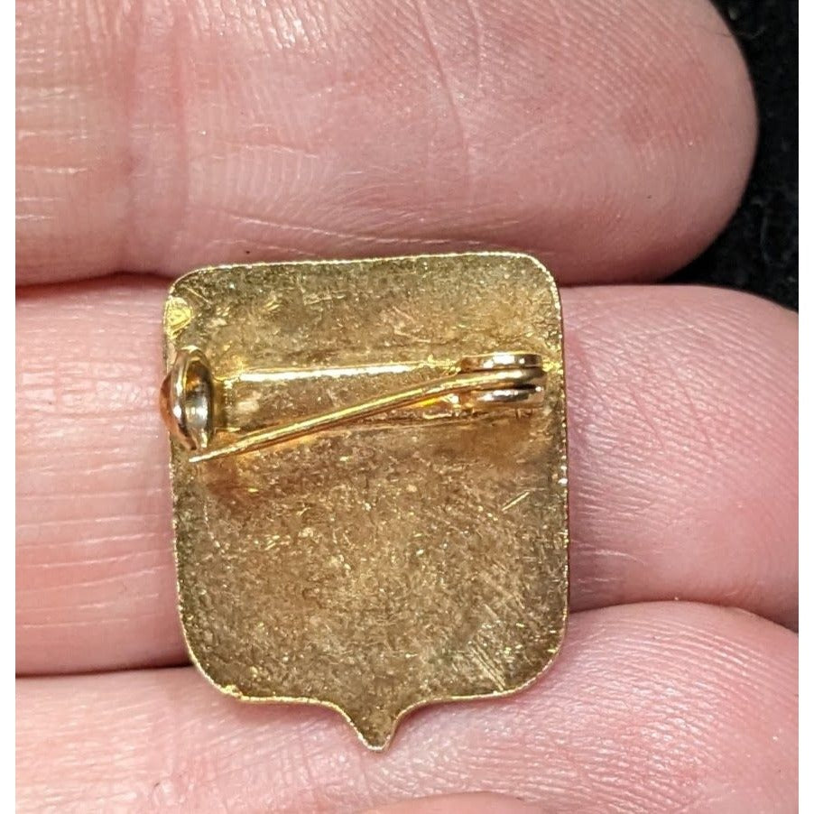 Vintage Ladies Of Charity Enamel Gold-Tone Shield Pin Badge Vintage Religious Emblem