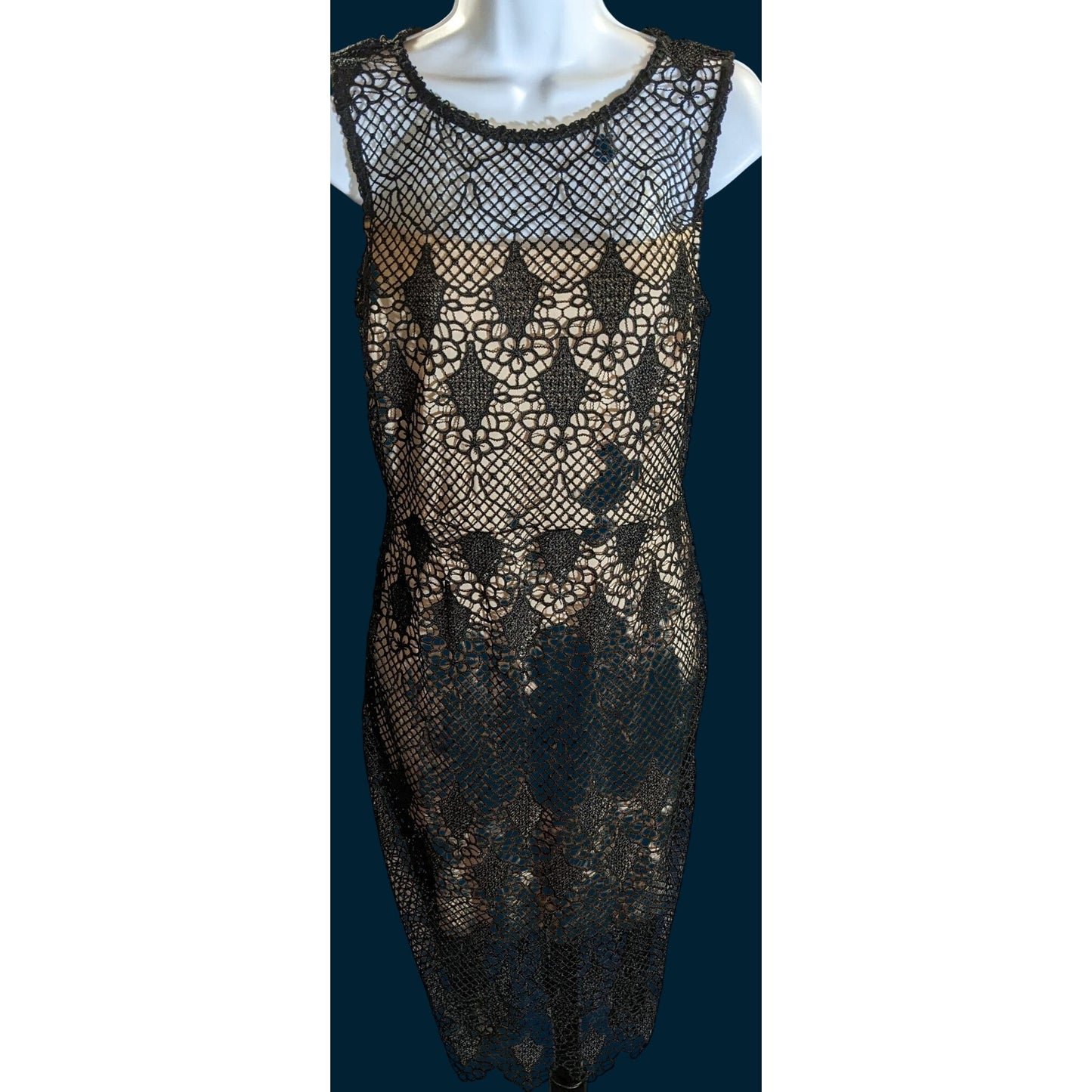 Bisou Bisou Lace Overlay Dress Black Nude Knee Length Elegant Cocktail