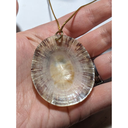 Limpet Shell Pendant Necklace