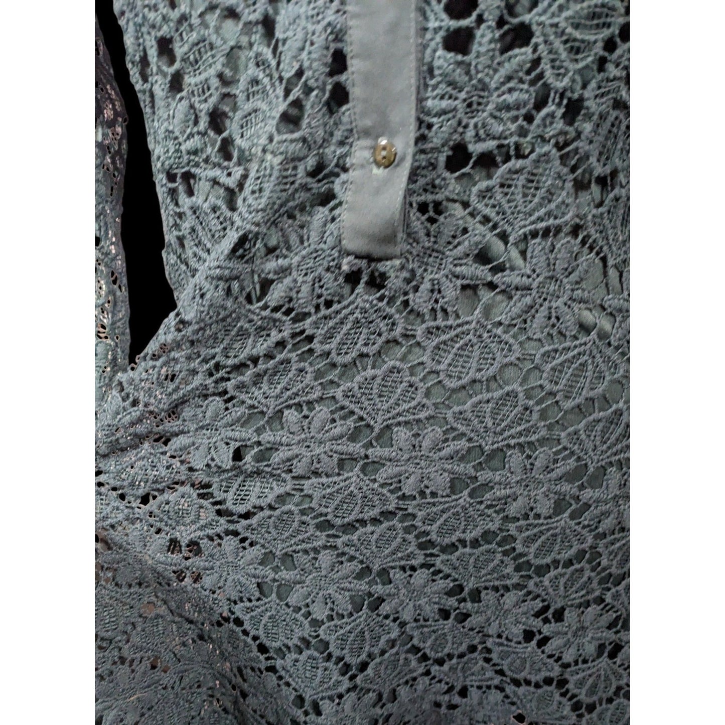 Zara Basic Collection Gothic Black Floral Overlay Dress Size Mediumj