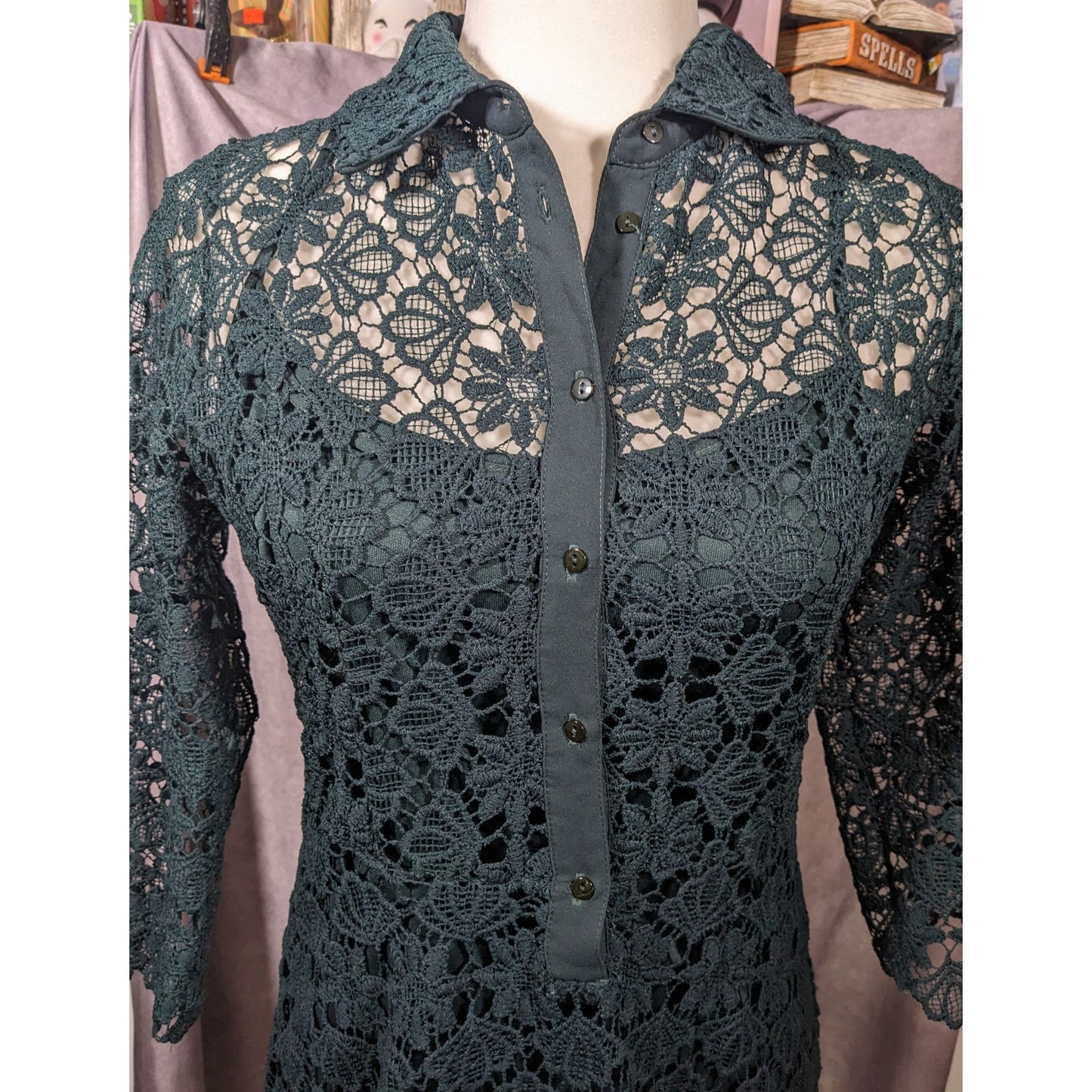 Zara Basic Collection Gothic Black Floral Overlay Dress Size Mediumj