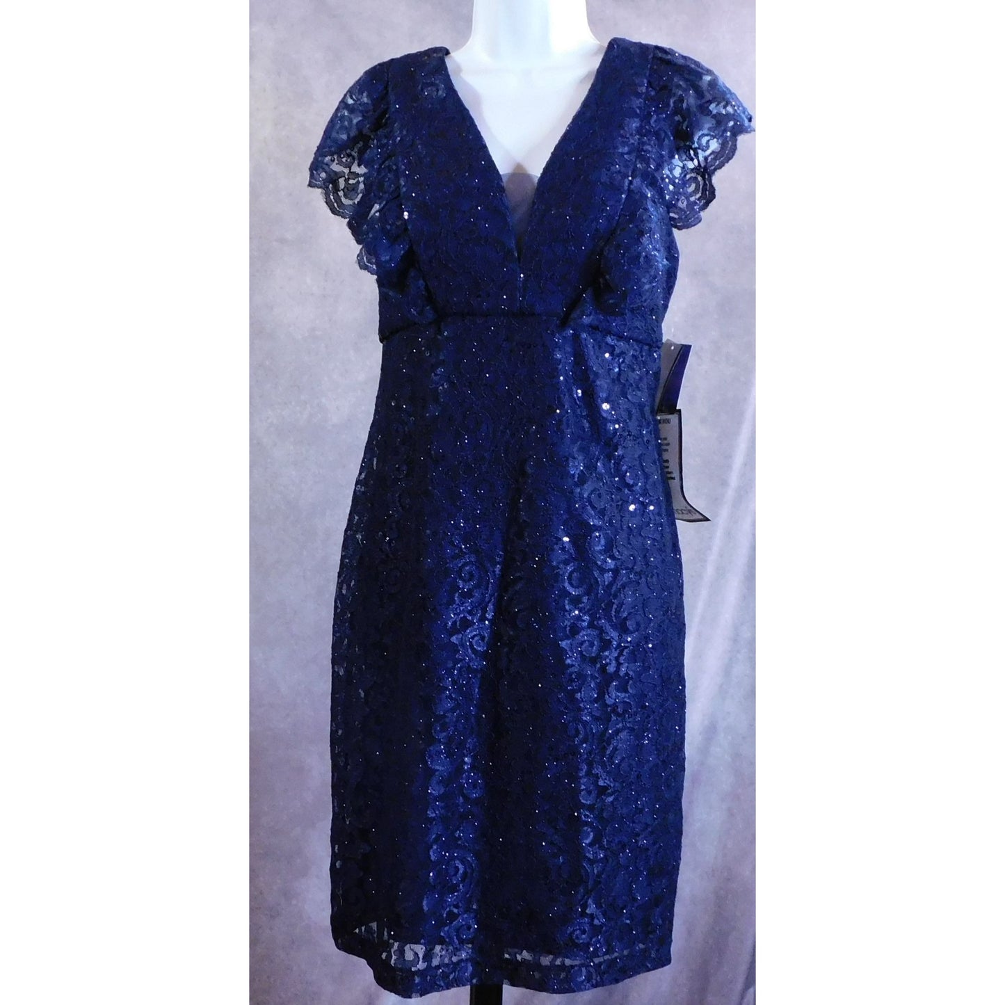 Nightway Sparkly Gothic Lace Dress In Dark Blue NWT