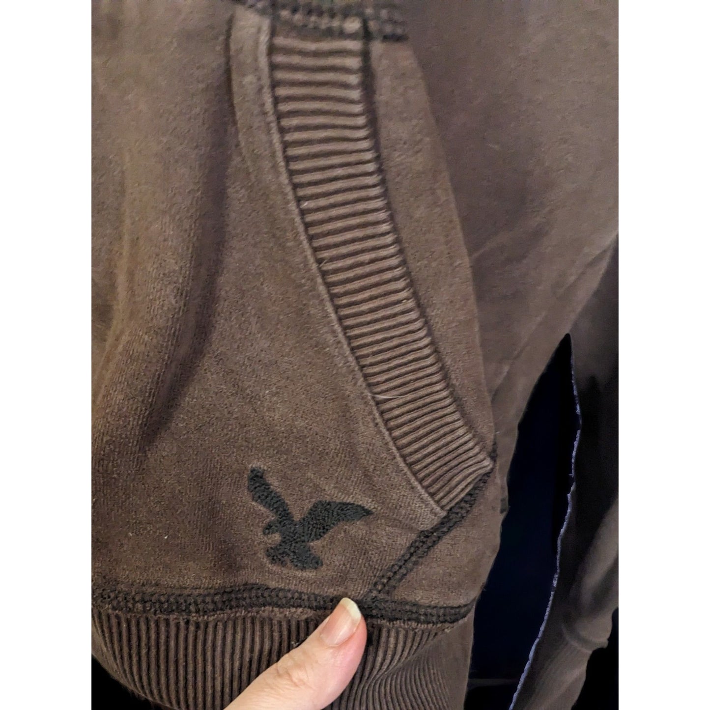 American Eagle Outfitters Heavy Brown Hoodie
