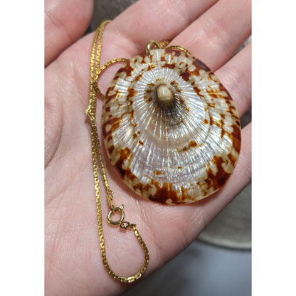 Limpet Shell Pendant Necklace