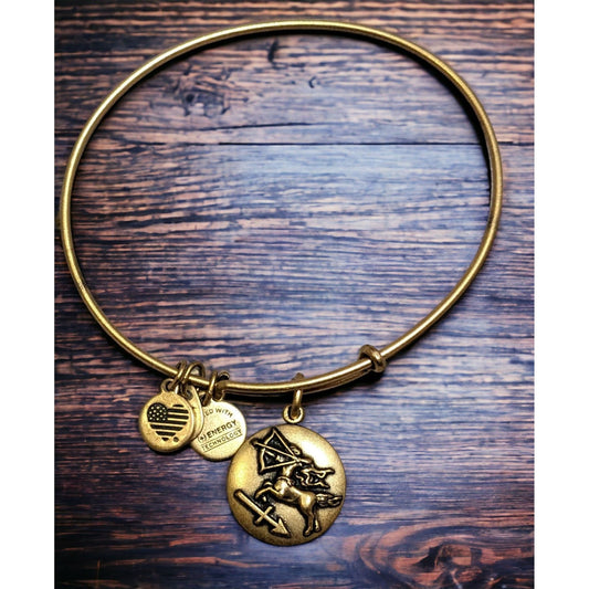 Alex And Ani Sagittarius Zodiac Charm Bracelet