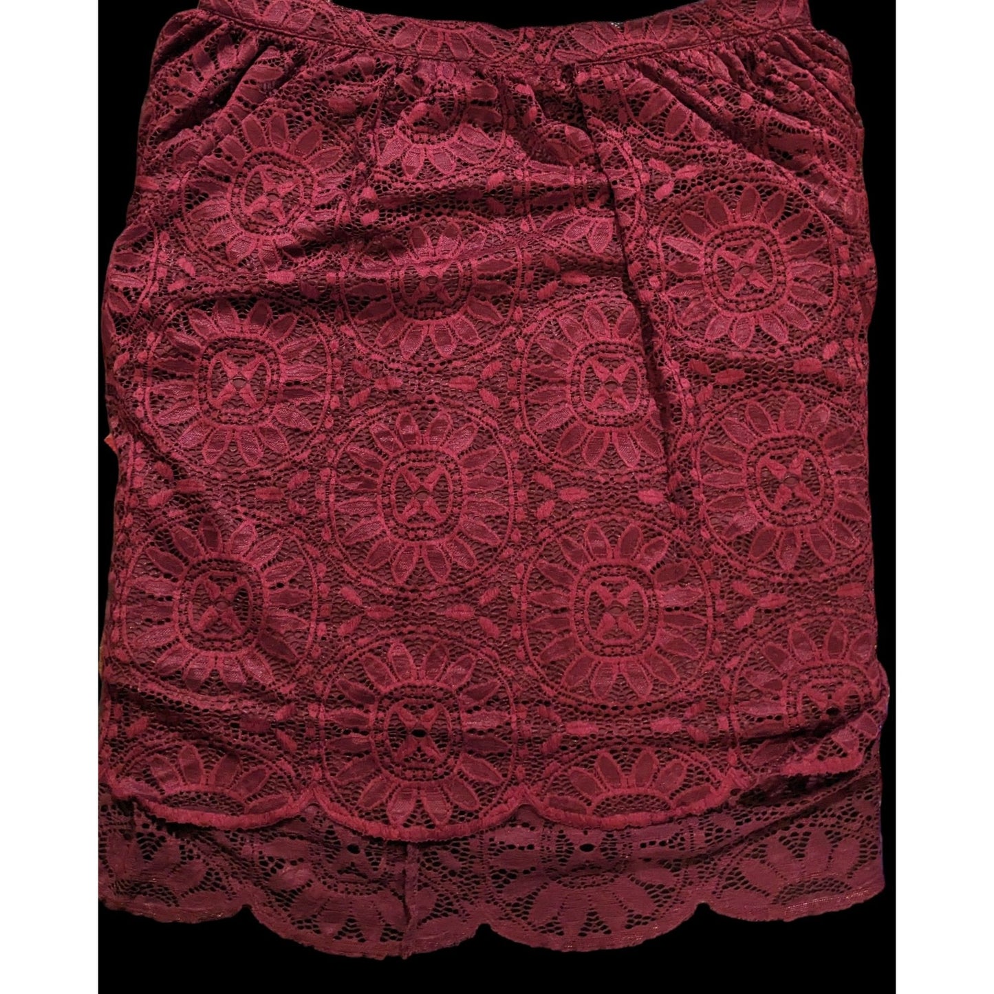 Xhilaration Burgundy Floral Lace Gothic Skirt