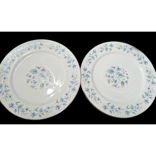 Bluefield Nasco White With Blue Floral Fine China Plates Japan (2)