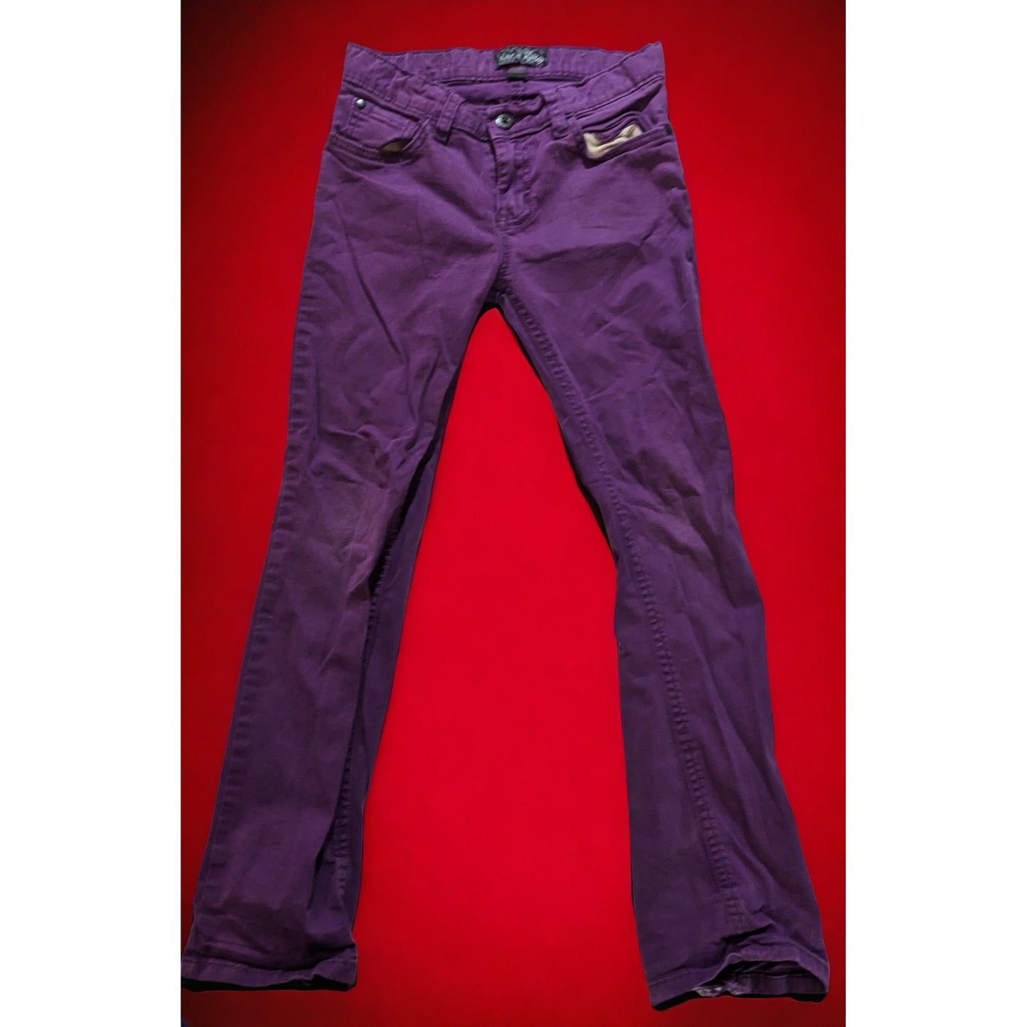 Children's Place Purple Jeans