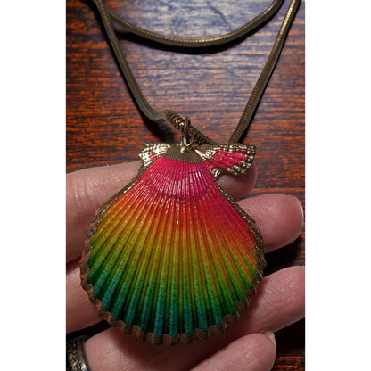Rainbow Shell Necklace