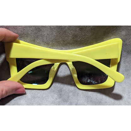 Framed Eyewear Shutterbug Sunglasses