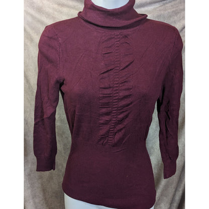 Express Plum Fitted Turtleneck