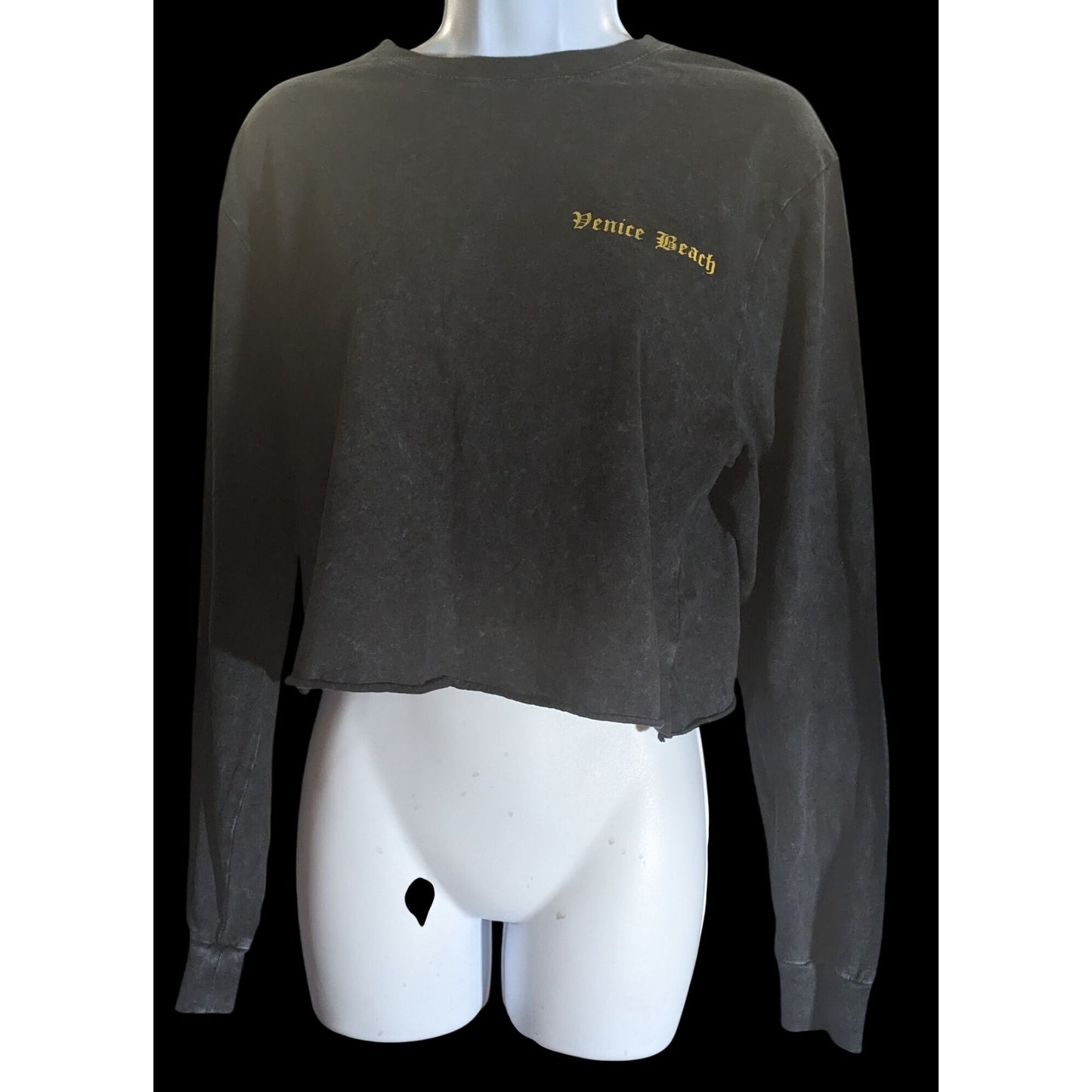Wild Fable Venice Beach Crop Top Black Long Sleeve Grunge
