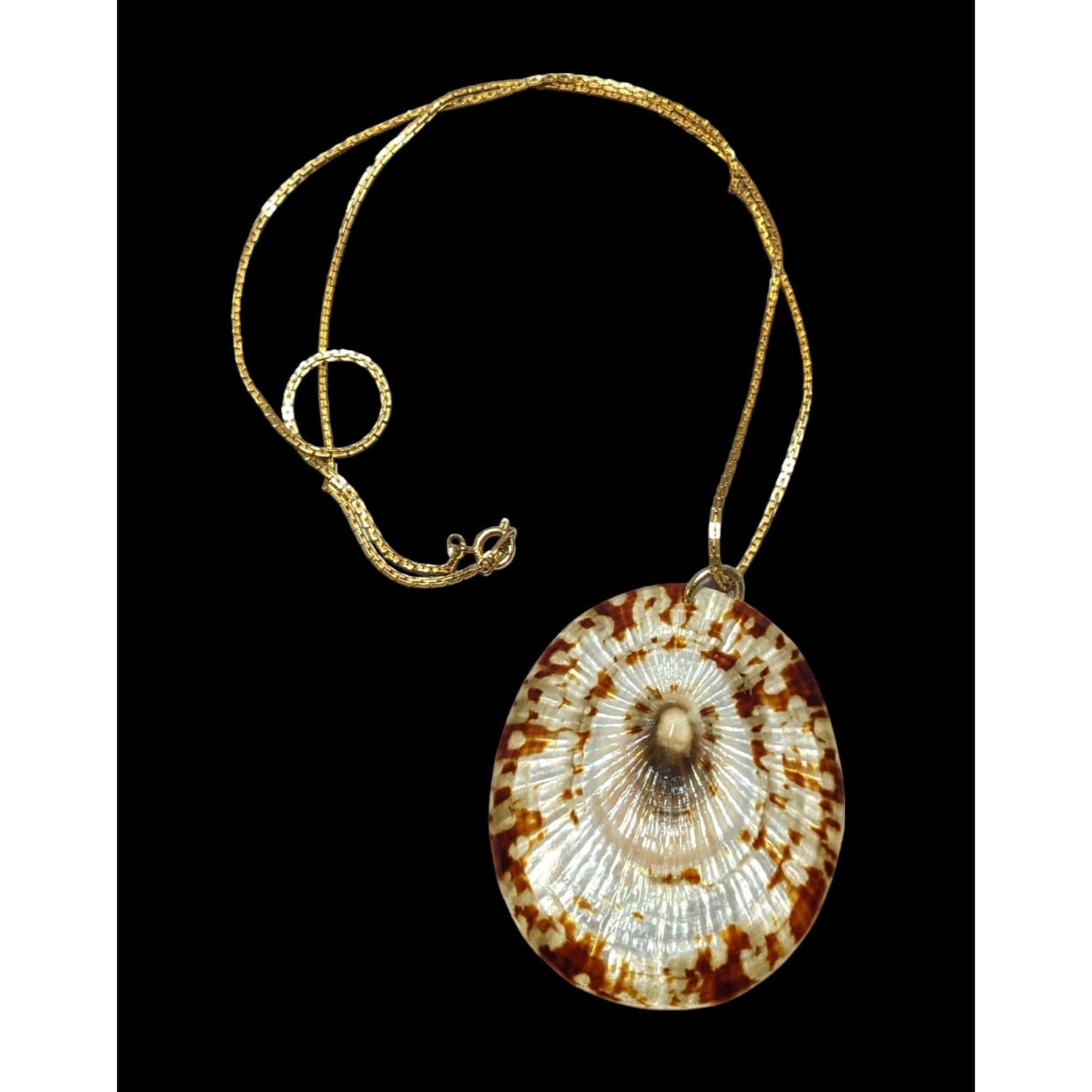 Limpet Shell Pendant Necklace