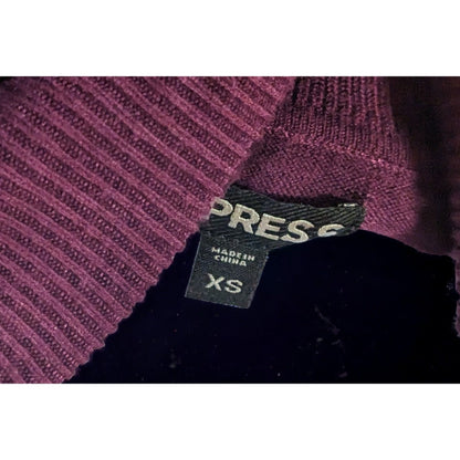 Express Plum Fitted Turtleneck