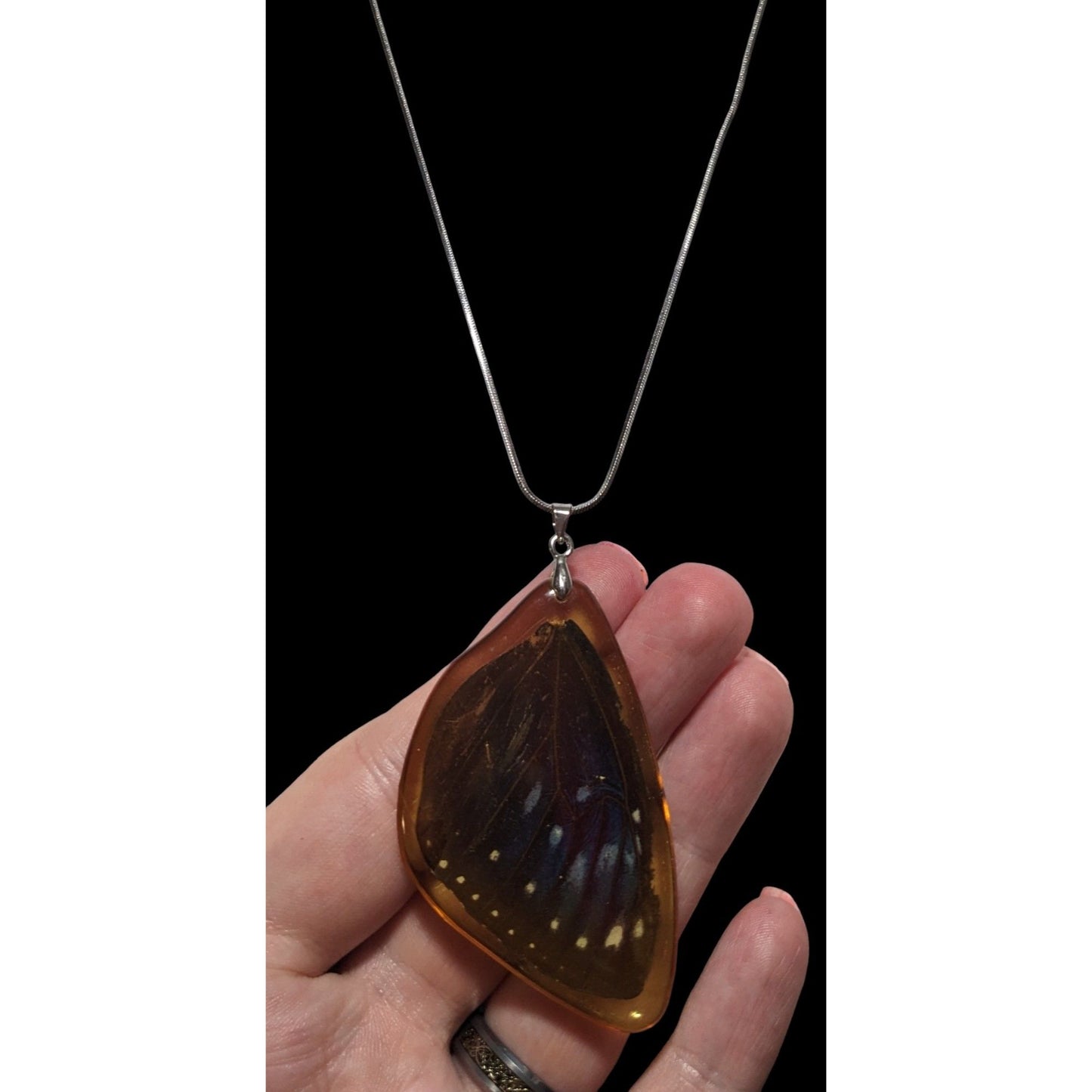 Preserved Butterfly Wing Necklace