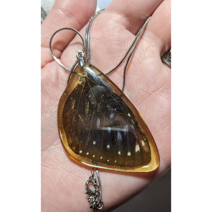 Preserved Butterfly Wing Necklace