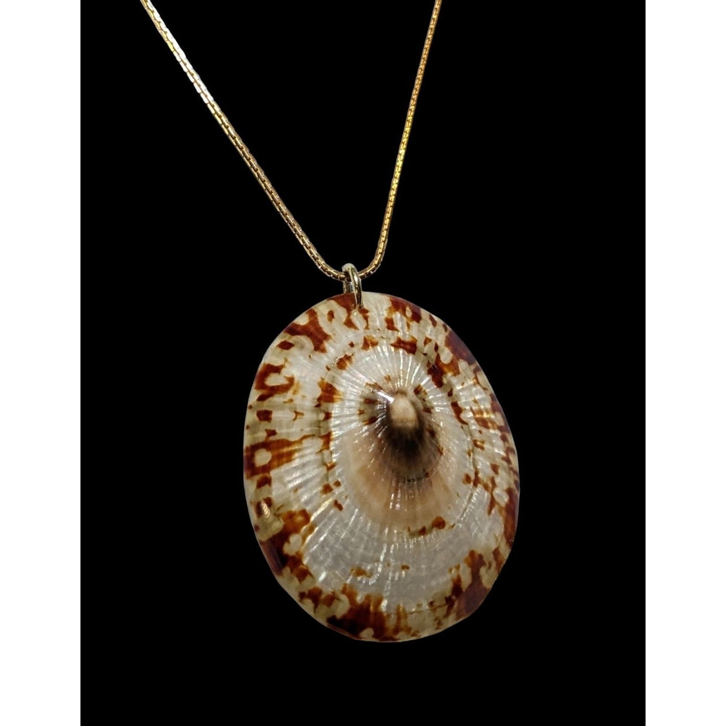 Limpet Shell Pendant Necklace