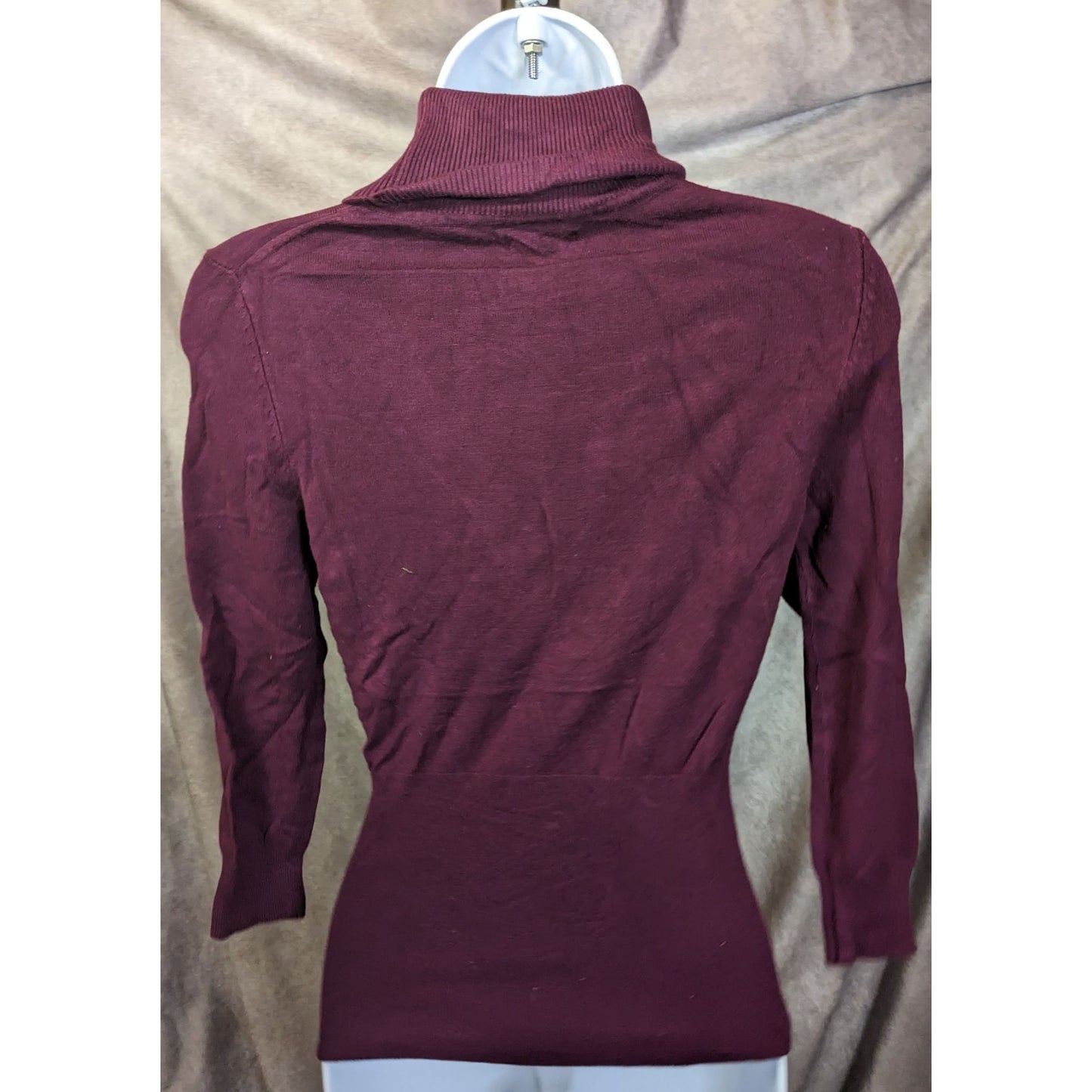 Express Plum Fitted Turtleneck