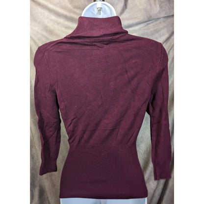 Express Plum Fitted Turtleneck