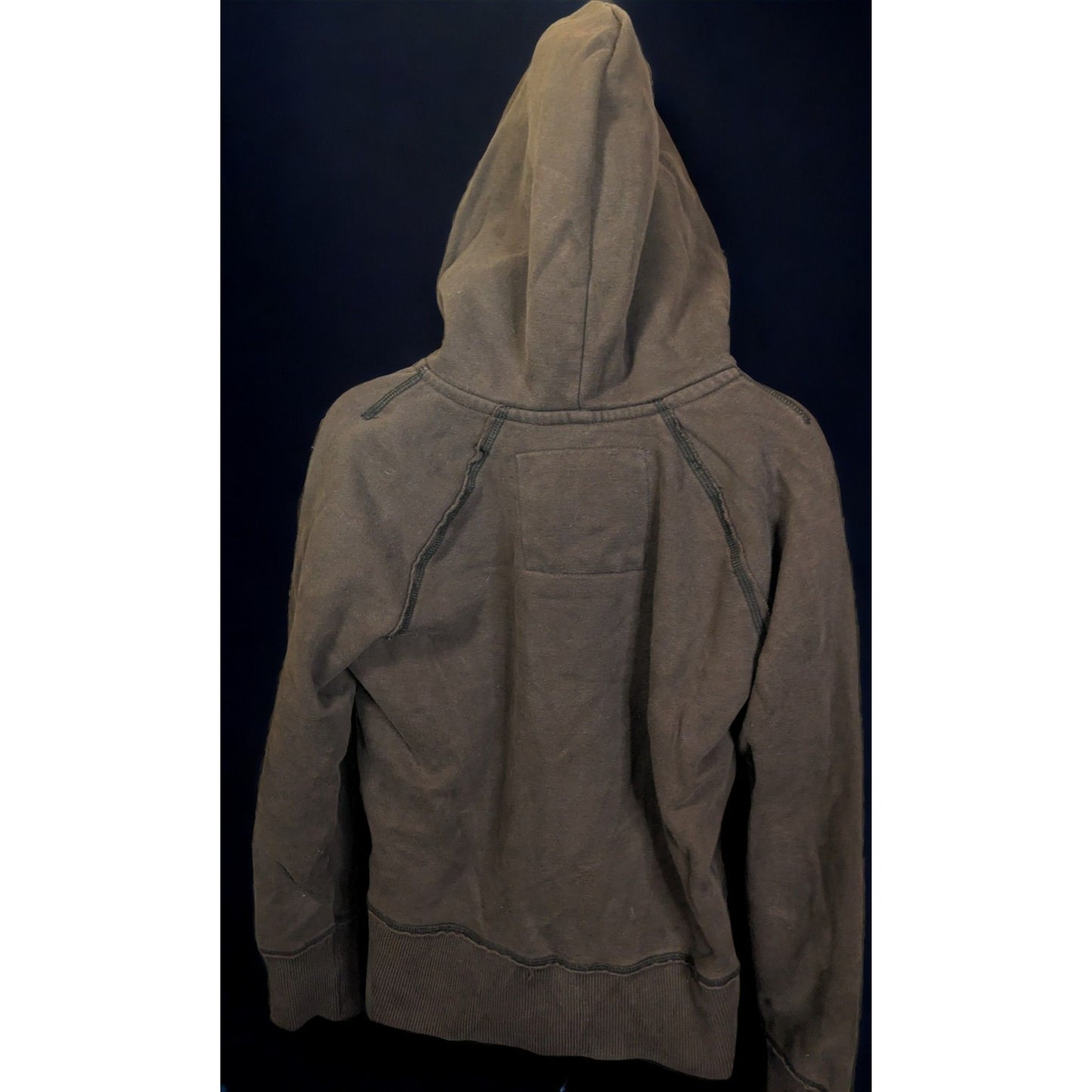 American Eagle Outfitters Heavy Brown Hoodie