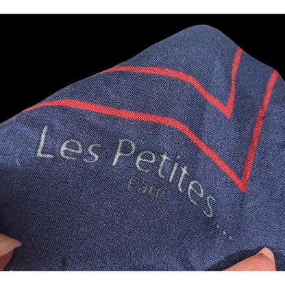 Les Petites France Blue And White Floral Scarf