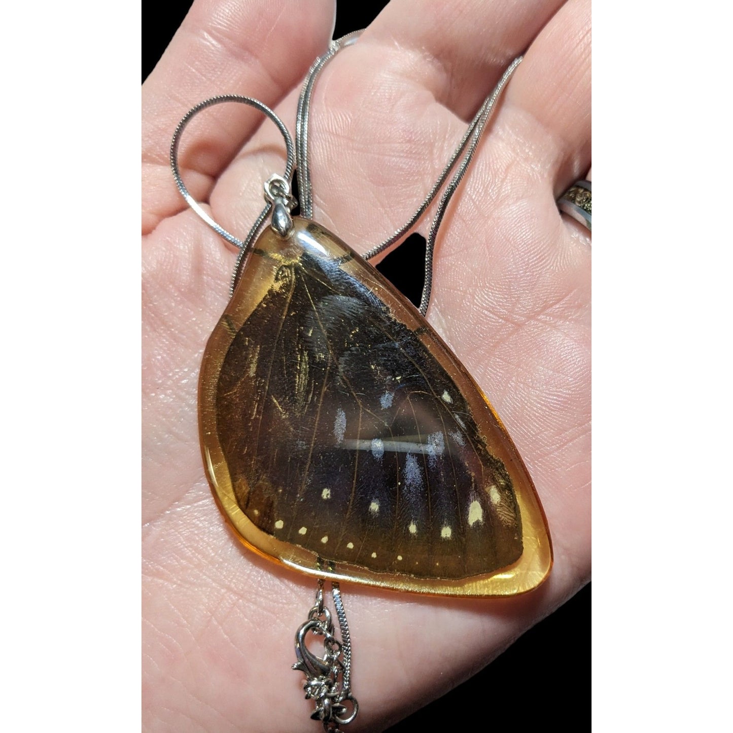 Preserved Butterfly Wing Necklace