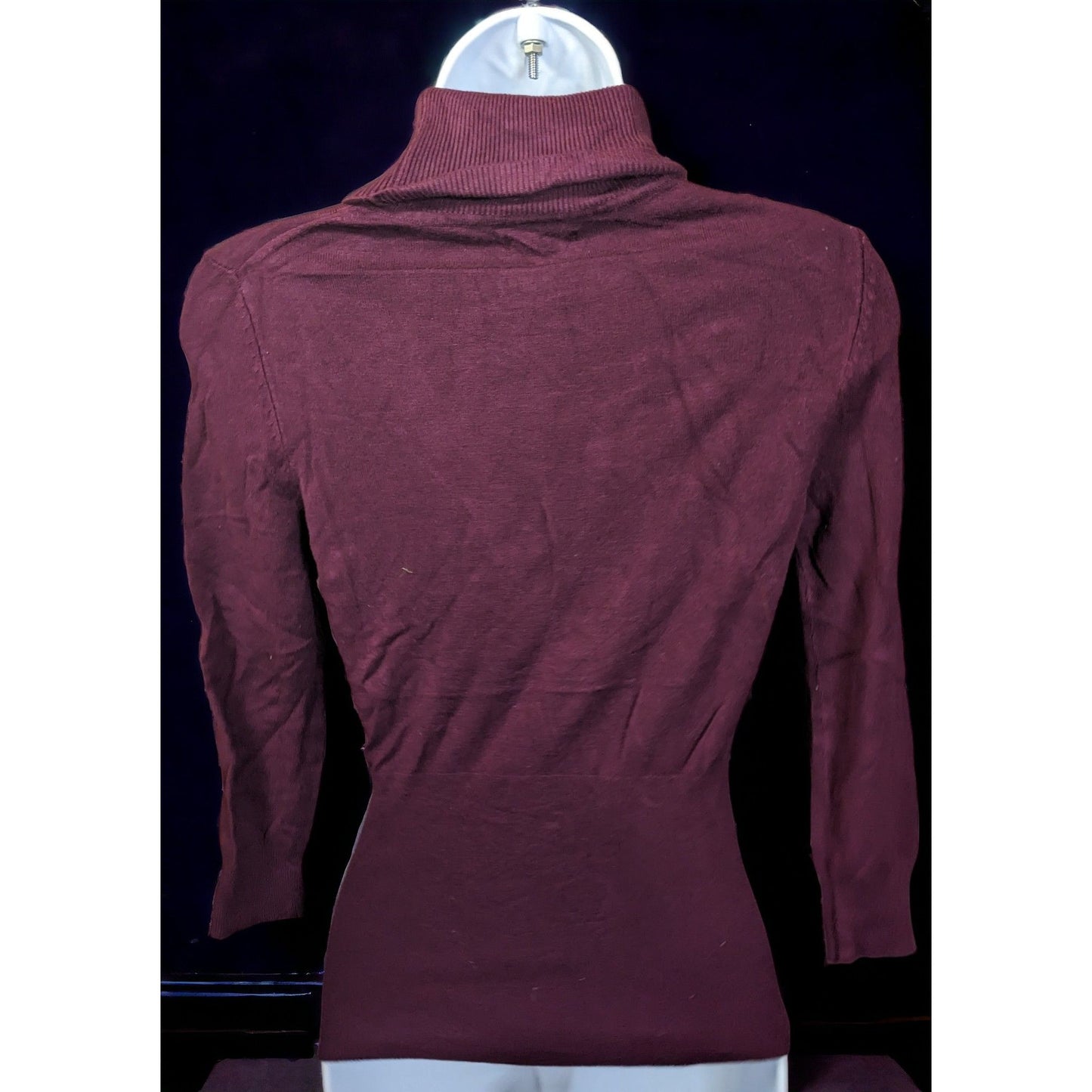 Express Plum Fitted Turtleneck