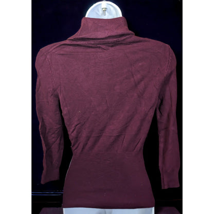 Express Plum Fitted Turtleneck