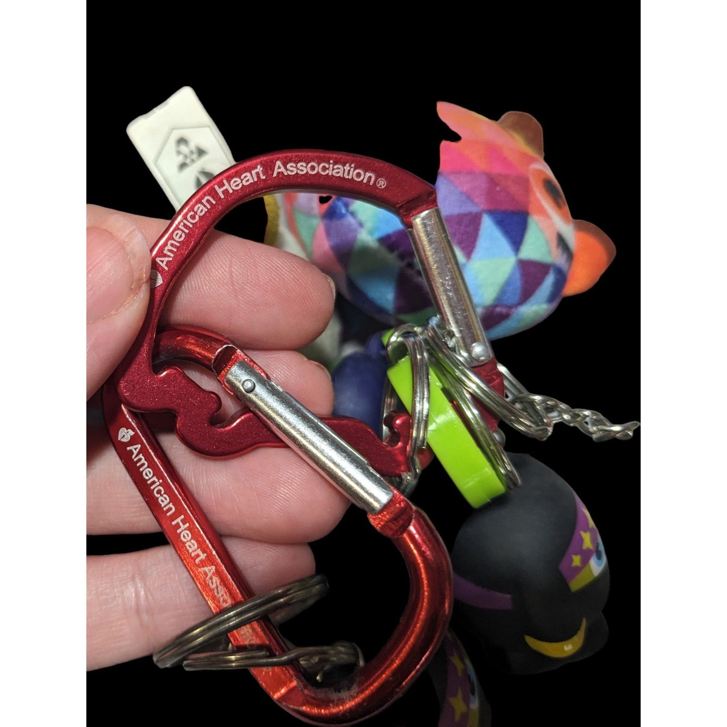 American Heart Association Keychain Bundle