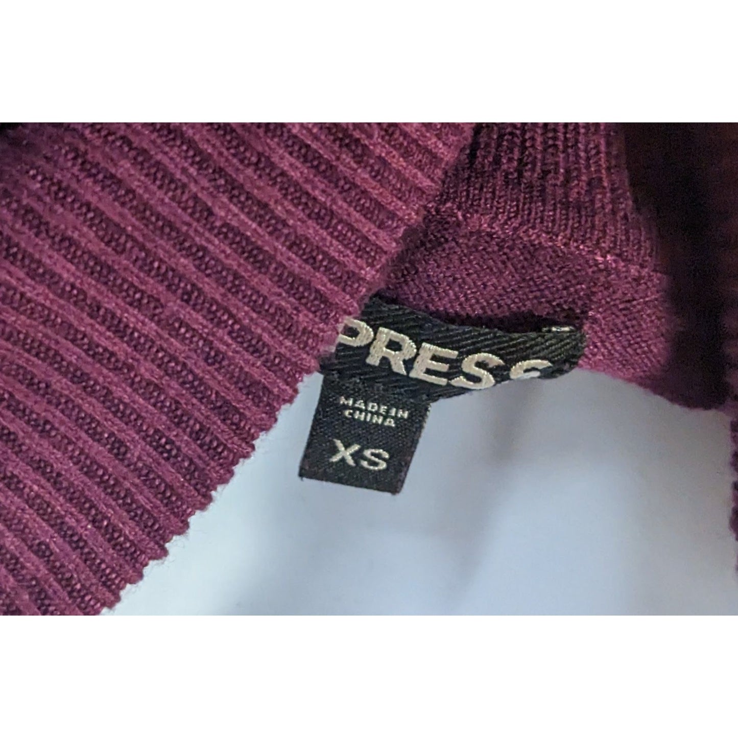 Express Plum Fitted Turtleneck