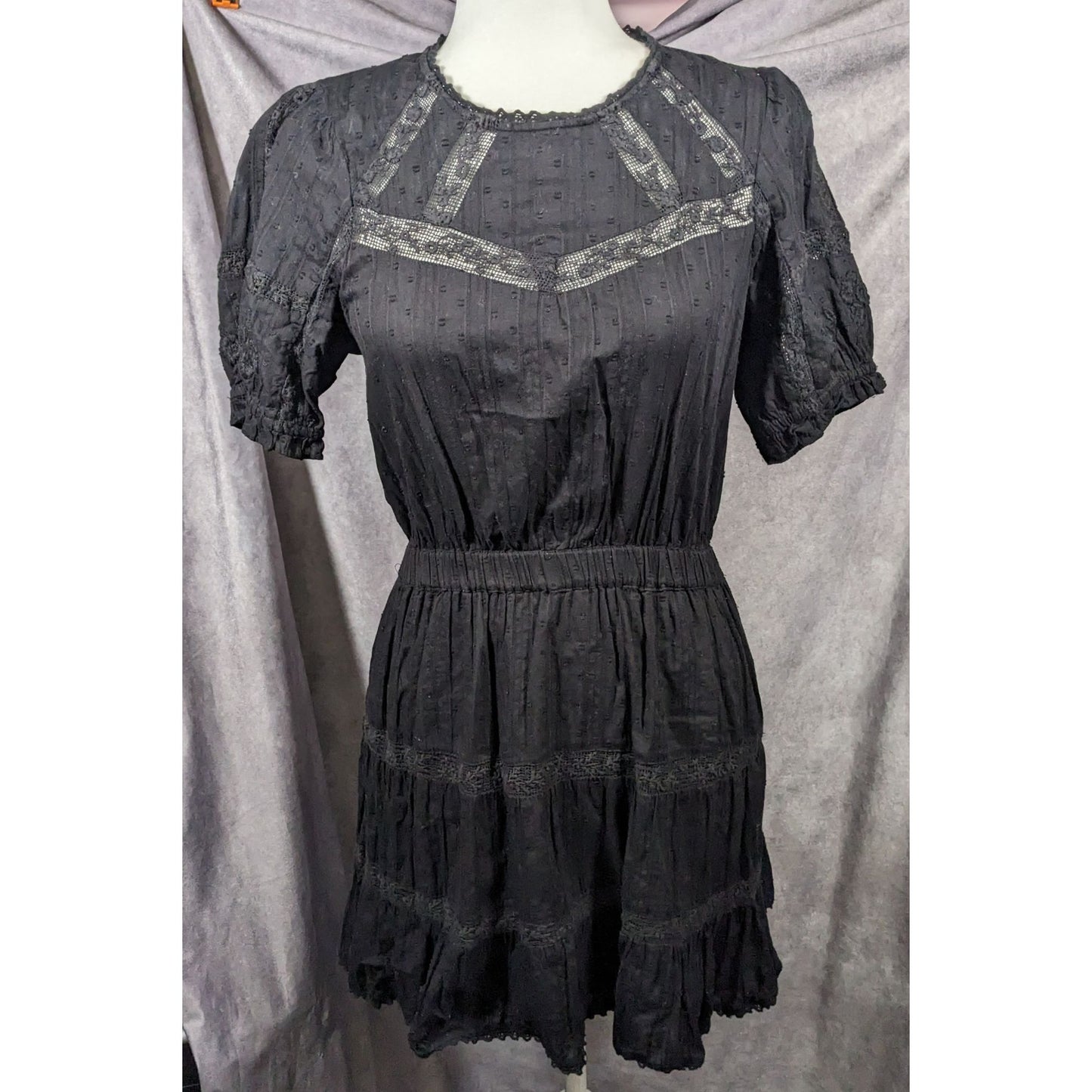 Zara Gothic Swiss Dot Dress With Floral Embroidery Size Small