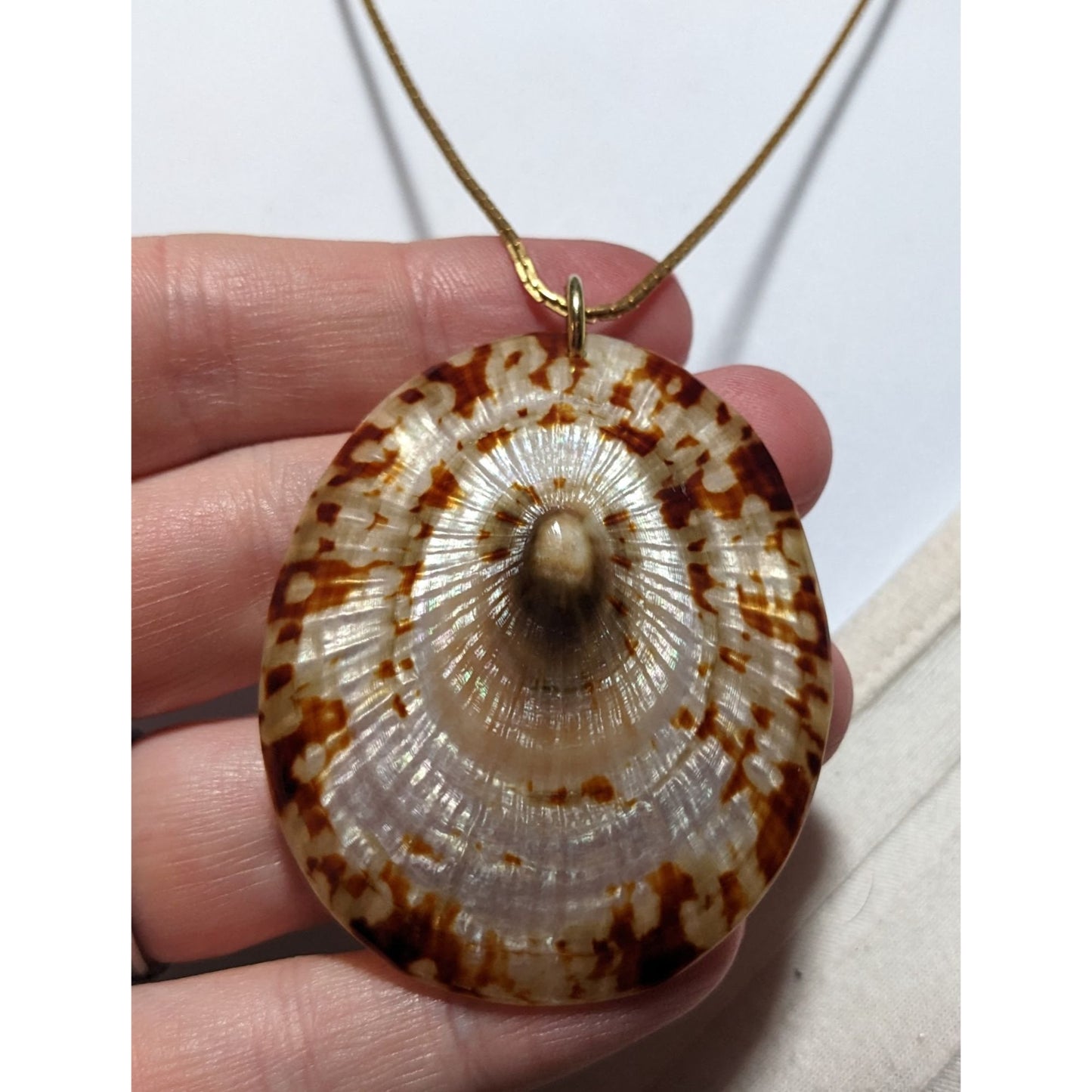 Limpet Shell Pendant Necklace