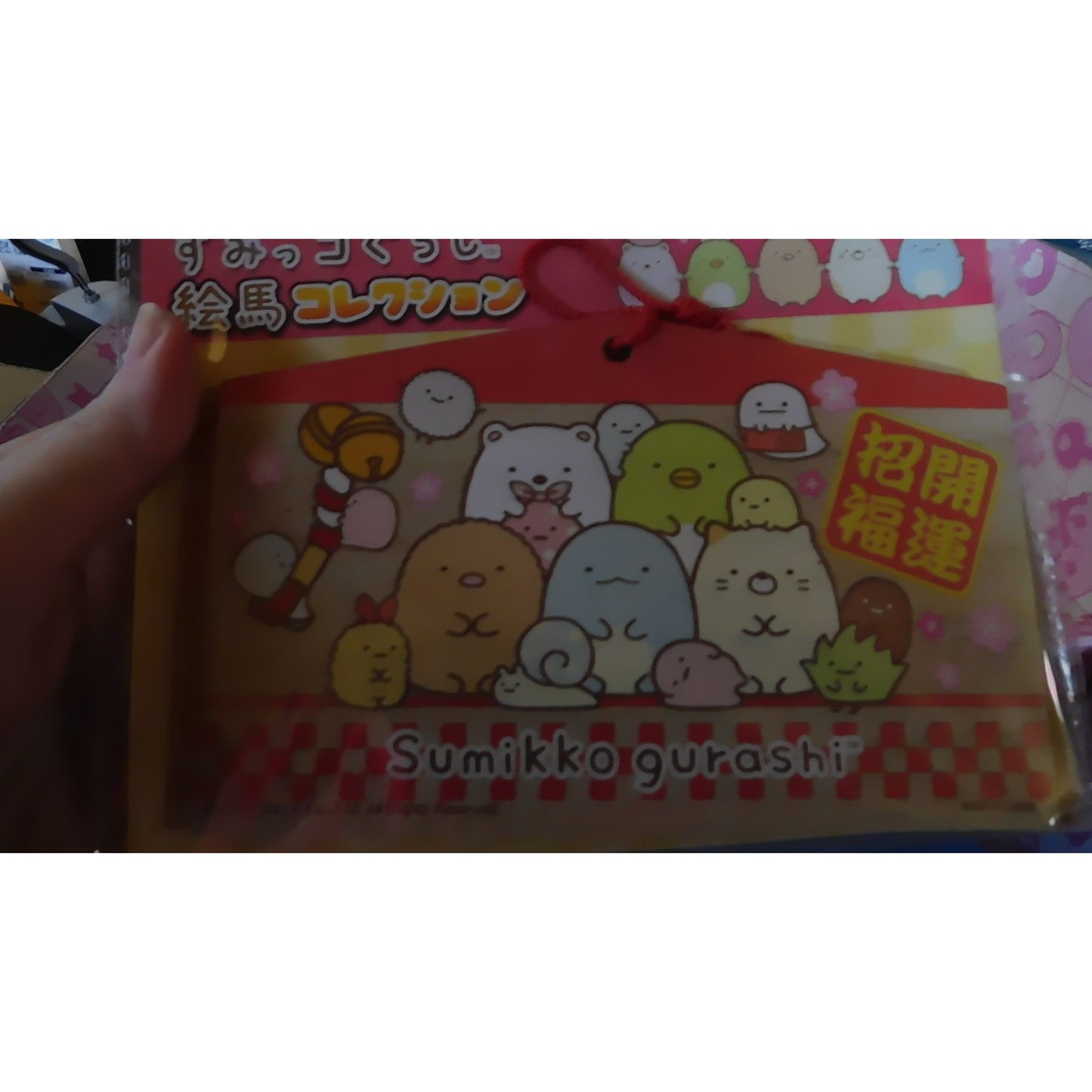 January 2020 Dokidoki Crate With Mug Plush Bracelet And More