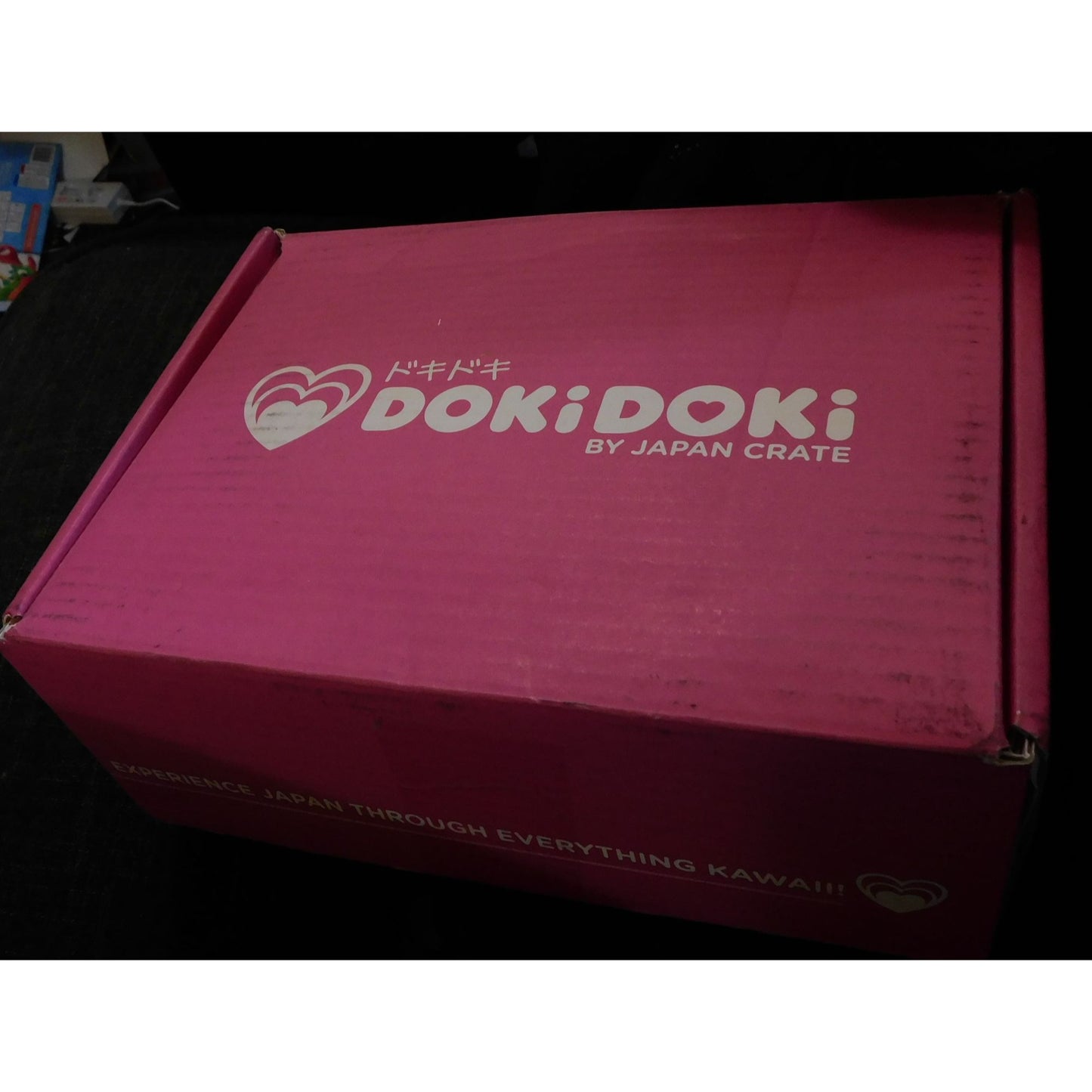 January 2020 Dokidoki Crate With Mug Plush Bracelet And More