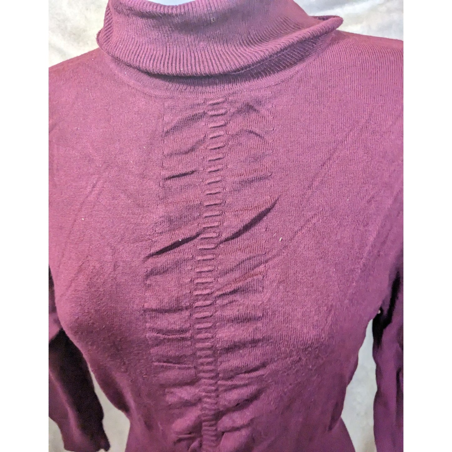 Express Plum Fitted Turtleneck