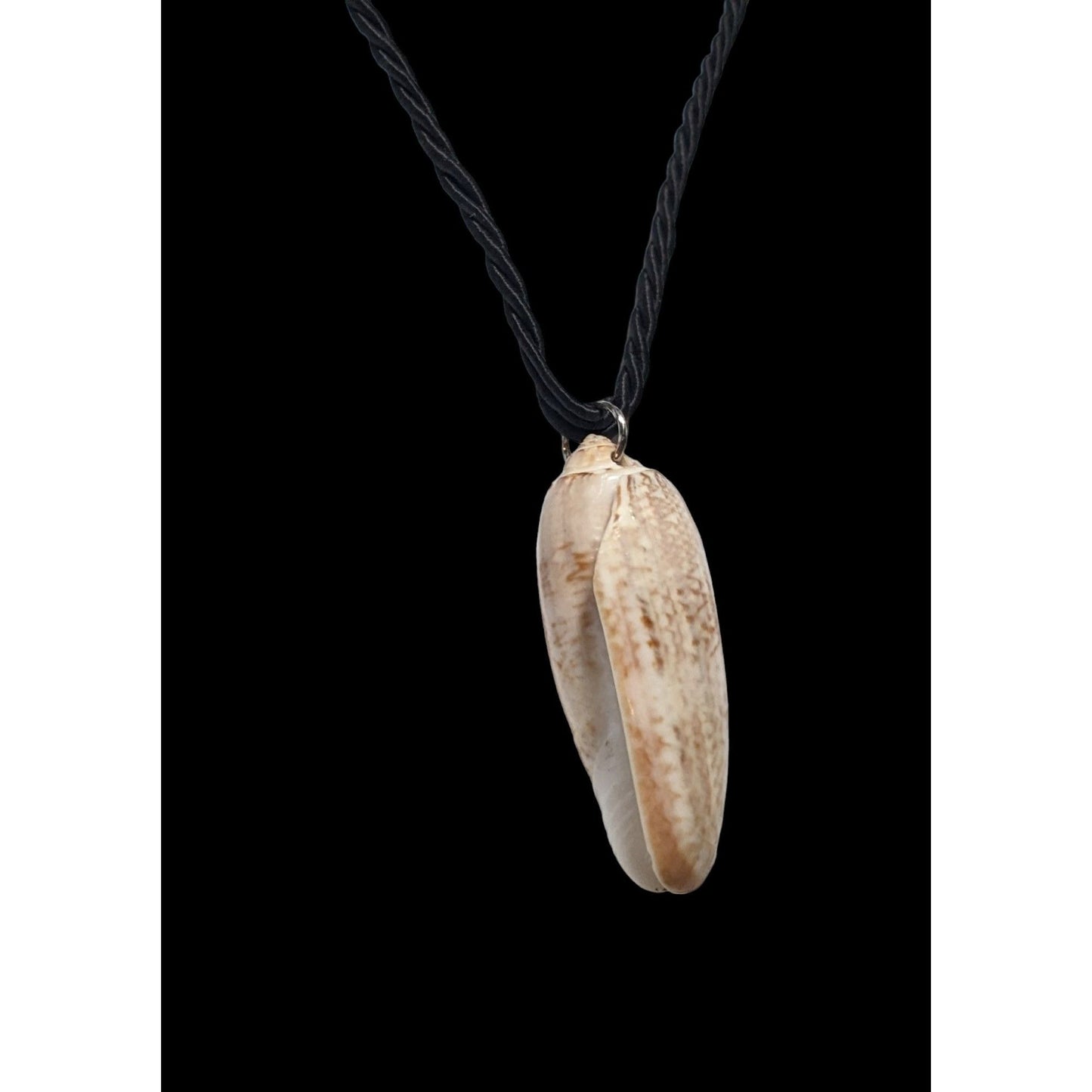 Oliva Shell Pendant Necklace