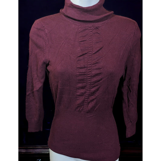 Express Plum Fitted Turtleneck