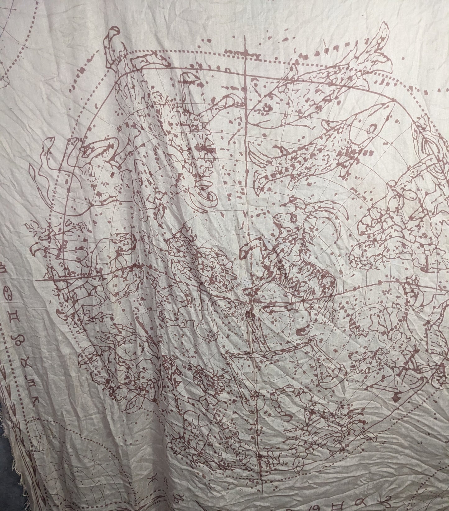 BCBGMaxAzria Bare Pink Constellation Print Scarf Wrap