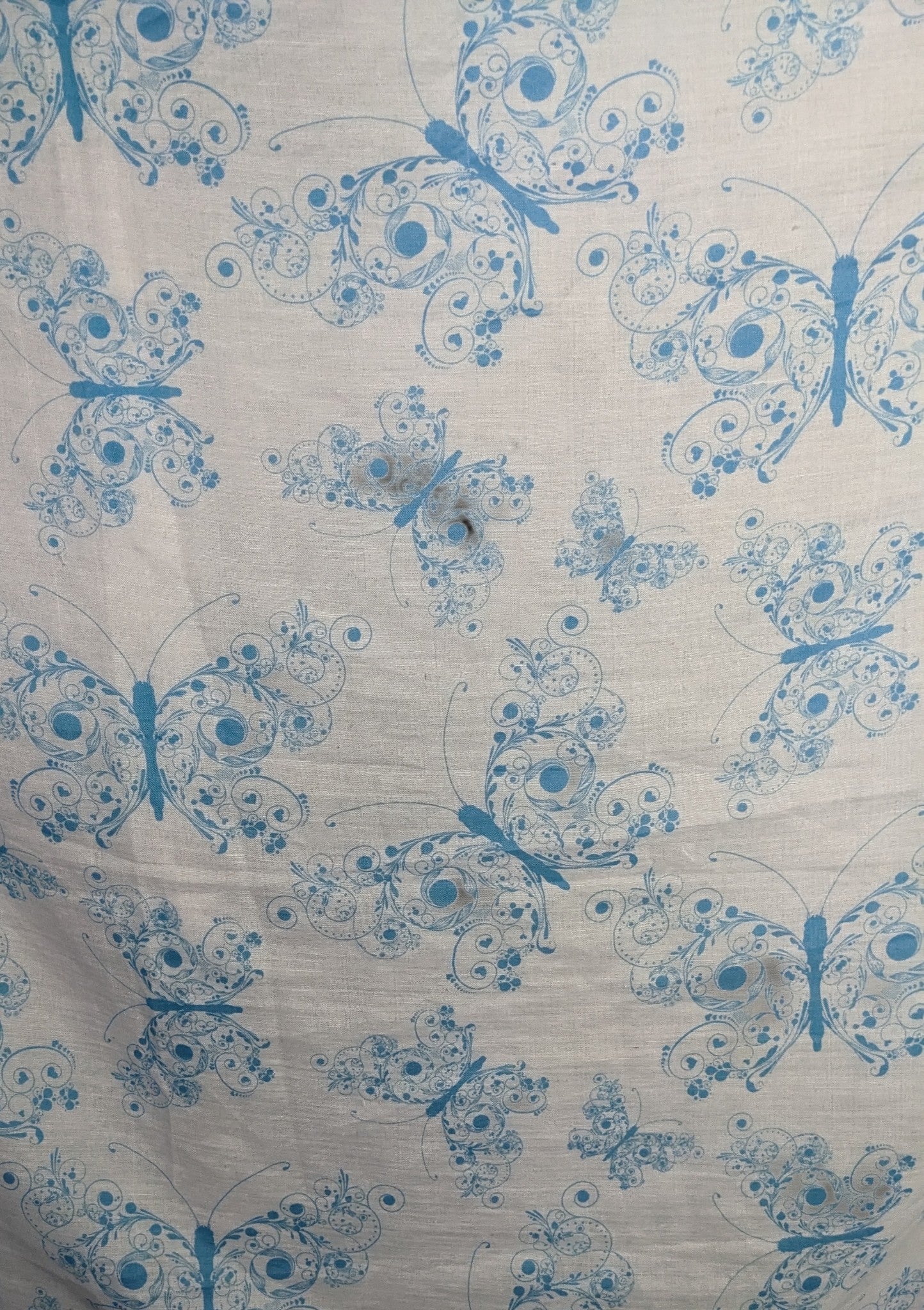 Bohemian Whimsical Blue Butterfly Print Lightweight Scarf Wrap 37x73 Inches