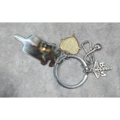 RN Nursing Motivational Multi Charm Keychain