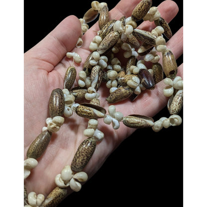 Beachy Mermaidcore Tan And Cream Multi Shell Necklace