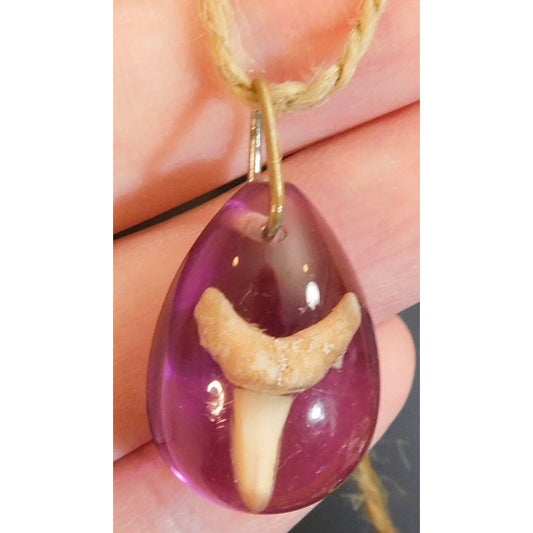 Purple Teardrop Shark Tooth Pendant Necklace
